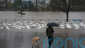 Weather warnings issued across all four nations amid heavy rain and strong winds