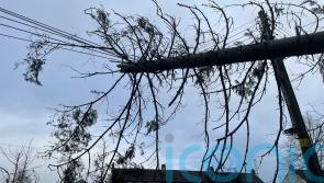 Comparing broadband storm repairs with power supply response ‘unfair’, MLAs told