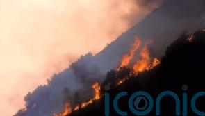 Teams of firefighters tackle blaze in Mourne Mountains