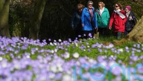 Sunshine and warmth to return to UK for Mother’s Day and into next week