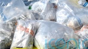 Drugs worth £860,000 seized following search in Kilkeel