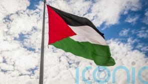 Four arrested and three cautioned following protests against pro-Gaza march