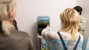 Blue-green algae from Lough Neagh displayed during Belfast Photo Festival