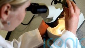 Northern Ireland scientists lead study aimed at helping identify cancer earlier