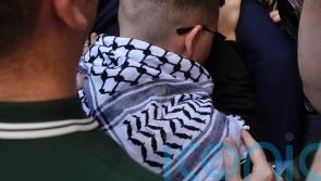 Kneecap greeted by hundreds at court as rap group member faces terrorism charge