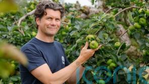 European protected status a &lsquo;game-changer&rsquo; for Armagh Bramley apple growers