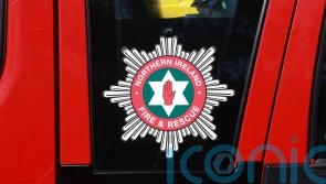 Pensioner dies after house fire in Co Tyrone