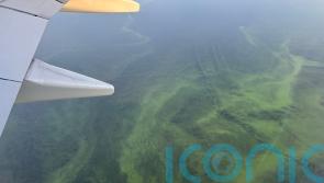 Call for urgent cross-party action to save Lough Neagh