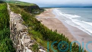 Public advised against swimming at Benone Beach after blue-green algae found