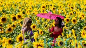 Warmest August bank holiday Monday ever for Wales and Northern Ireland