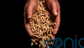 Closure of RHI scheme to cost £196 million over next decade