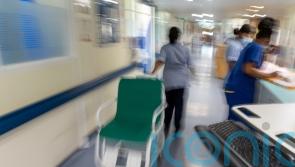 Student nurses in NI being forced to use food banks, committee hears