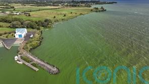 Recovery of Lough Neagh ‘will take years, if not decades’, says Muir