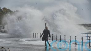 Schools to shut early and transport disrupted as Storm Amy sweeps in