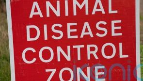 Suspected case of bird flu identified near Omagh