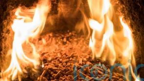 RHI Bill is continuation of payments rather than closure, committee head says