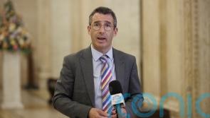 Avian influenza prevention zone to be introduced in NI