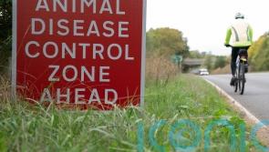 Another suspected case of avian flu found in commercial flock in Co Tyrone
