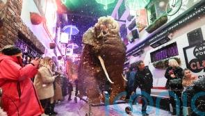 Mammoth festive surprise for revellers in Belfast&rsquo;s Cathedral Quarter