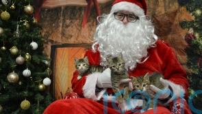 USPCA expands support for pet owners experiencing poverty