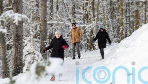 Temperatures fall to -12.5C in coldest night as snow brings more disruption