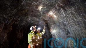 Delays over Co Tyrone gold mine application &lsquo;total disgrace&rsquo;, says DUP leader