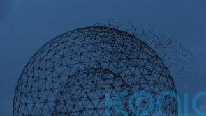 Young people throwing debris at vehicles near Broadway Roundabout