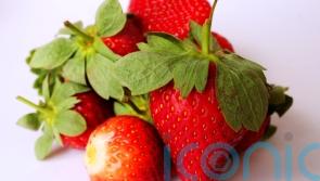 Flavonoid-rich diet could help people feel happier, research finds