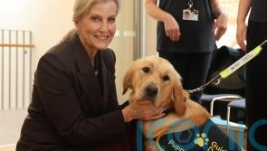 Duchess of Edinburgh celebrates 40 years of Guide Dogs for the Blind in NI