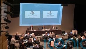 &lsquo;Worst-case scenario&rsquo; must guide decision on Tyrone gold mine, inquiry hears