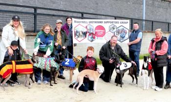 WATCH: Brandywell Greyhound Supporters Group champions Council’s 'Green Dog Walker' initiative