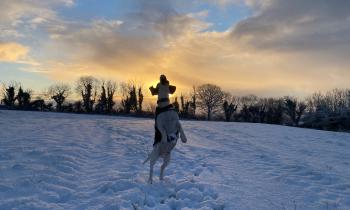 IN PICTURES: Show Us Your Snow! Readers capture the magic of snowfall across Derry