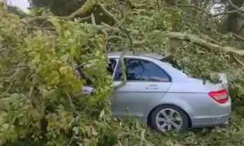 WATCH: Lucky escape as family’s car hit by tree in Limavady during Storm Amy
