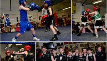 PICTURES: