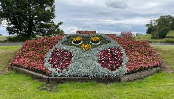 Mid Ulster District Council offering flowerbed and planting sponsorship opportunities