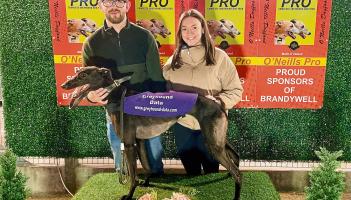 Derry Greyhounds: Diego's Manna is the star of Greyhound Data Gala Night