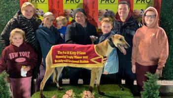 Derry Greyhounds: Starcash Barry sparkles on All The Luck In Life Gala Night