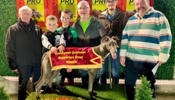 Derry Greyhounds: Meet More Often sprints to success at Brandywell