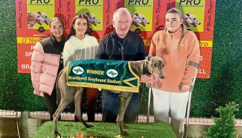 Derry Greyhounds: Eileen sets her Aidhm on Derby glory