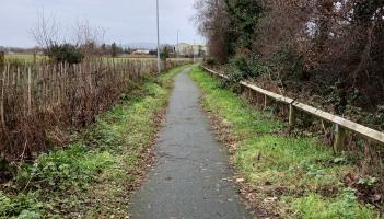 Department urged to withhold funding from Donegal County Council for greenways