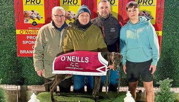 Derry Greyhounds: Galliagh Johnny: Brandywell&rsquo;s First Star of 2026