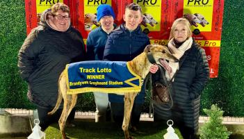 Derry Greyhounds: Starcash Barry nears century with victory lap