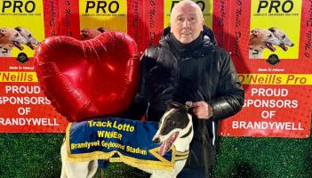 Derry Greyhounds: Spirtinthesky fans were in fine tune after her Brandywell victory
