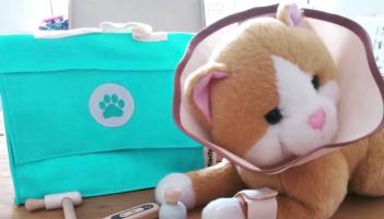 Derry&rsquo;s role in reducing landfill waste through community sharing