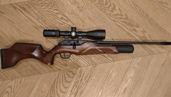 Pensioner who bought illegal air rifle for friend fined &euro;400 for firearms offences
