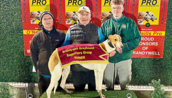 Derry Greyhounds: Gold ambition for Orange Aidan ahead of Meenagh Marathon Final