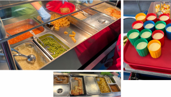 Anonymised photos of food from unannounced EA visits.