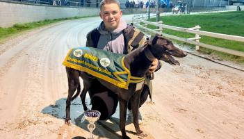 Derry Greyhounds: Tyler&rsquo;s Danubius Powers To Gold In Brandywell Sprint Final