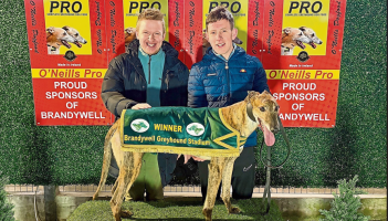 Derry Greyhounds: Barry Turns 99th Start Into A Starcash Finish