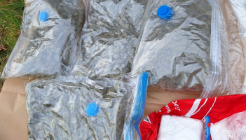 Part of drugs haul seized by PSNI in Derry.